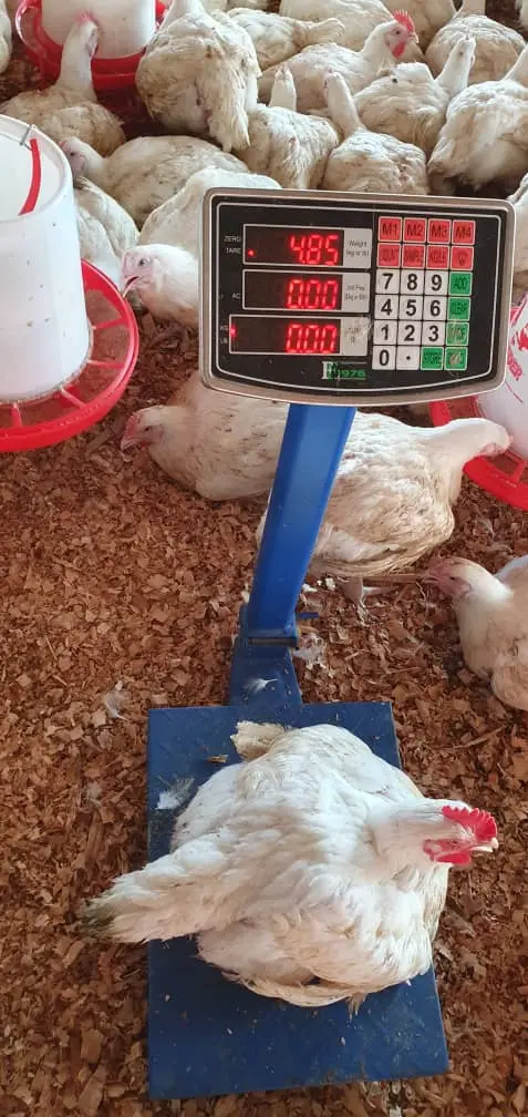 Farm Delivery Services